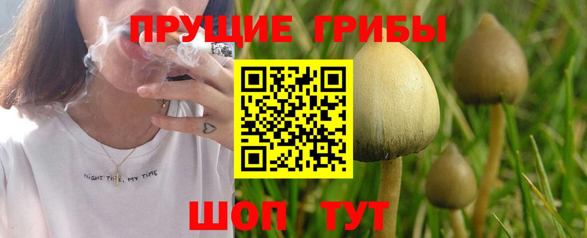 Галлюциногенные грибы ЛСД  Вход с VPN  Губаха 