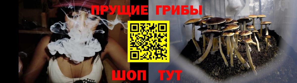 Галлюциногенные грибы прущие грибы Губаха